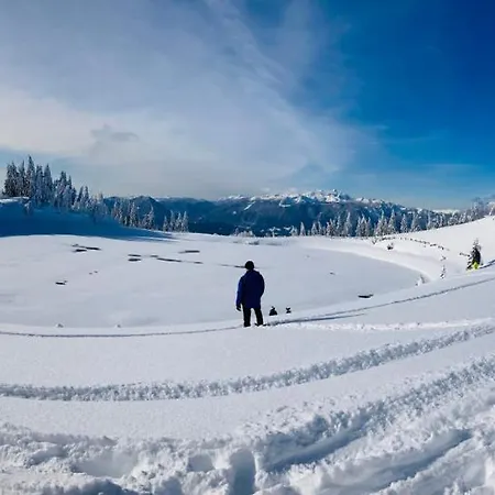 Family House Mozirje