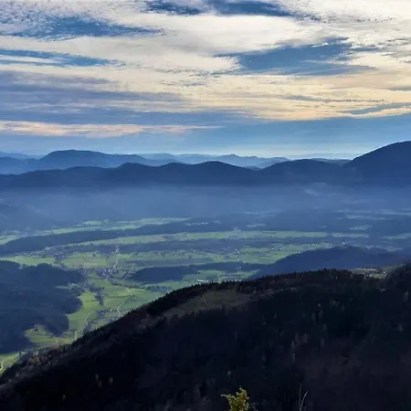 Feriehus Family House Mozirje