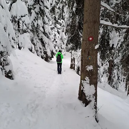 Tatil Evi Family House