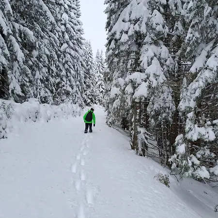 Family House * Mozirje