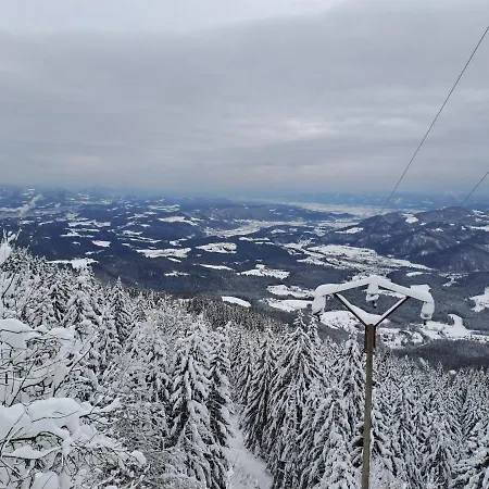 Feriehus Family House *