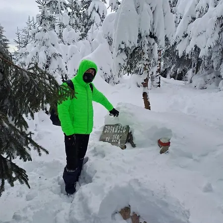 Feriehus Family House