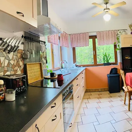 Family House Mozirje