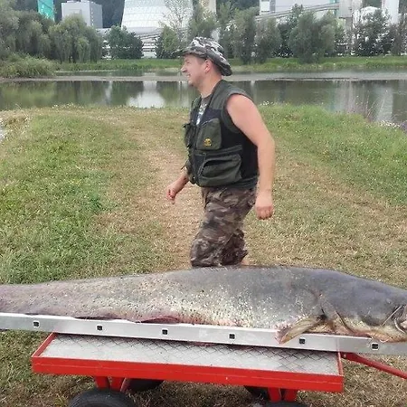 Family House Feriehus