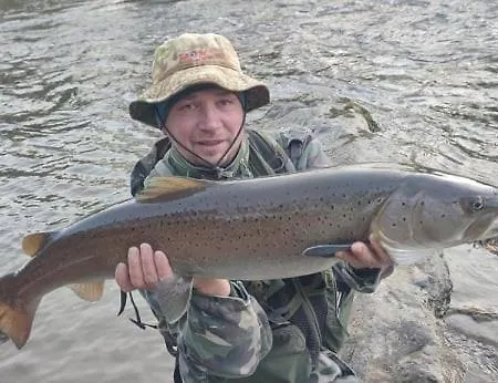 Family House * Mozirje