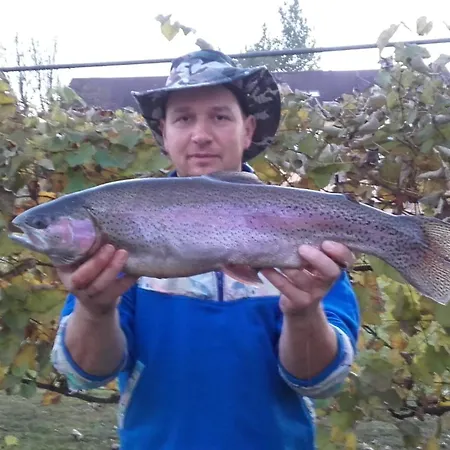 Family House Feriehus *