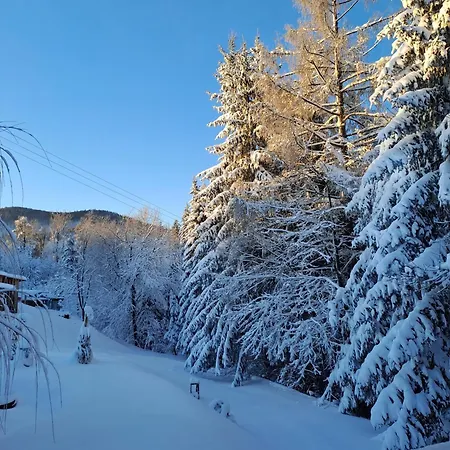 Family House Feriehus Mozirje