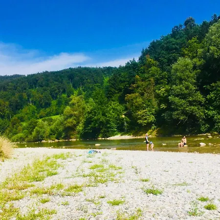 Family House Mozirje