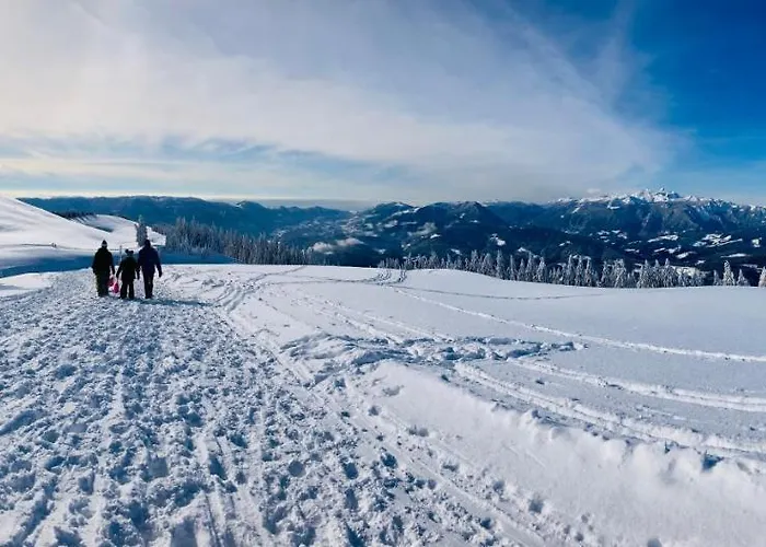 Family House Дом отдыха *
