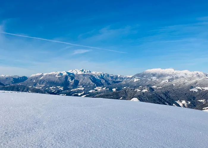 Дом отдыха Family House Мозирье