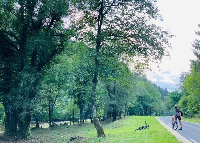 Family House Дом отдыха *