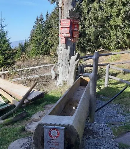 Дом отдыха Family House