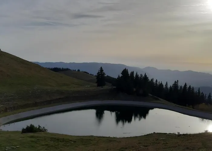 Family House * Мозирье