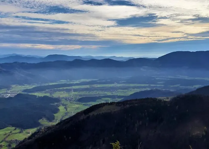 Дом отдыха Family House Мозирье