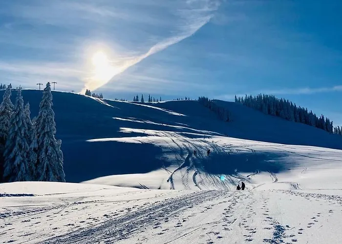 Дом отдыха Family House