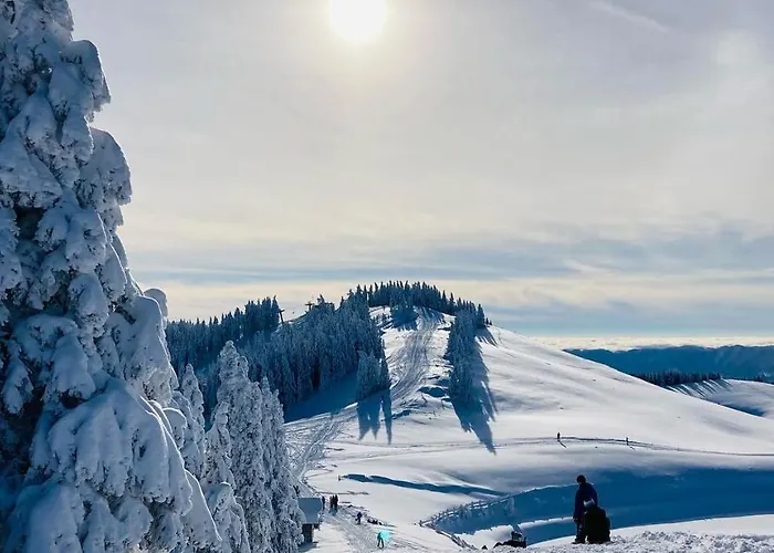 Дом отдыха Family House *