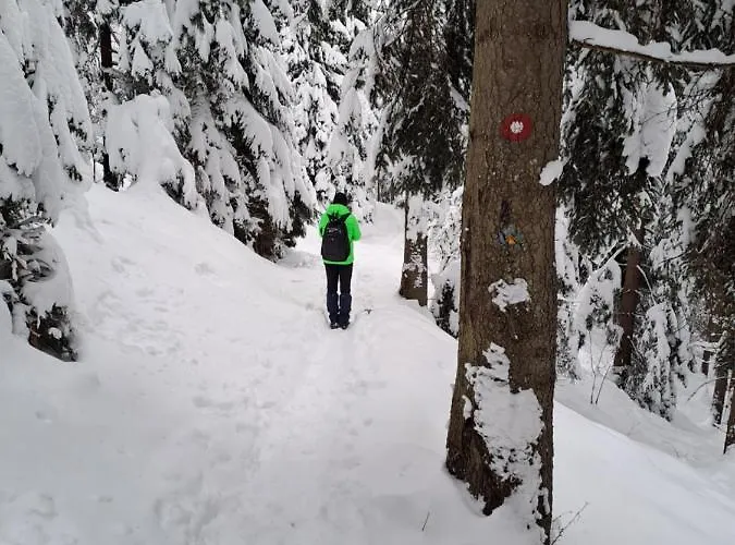 Дом отдыха Family House