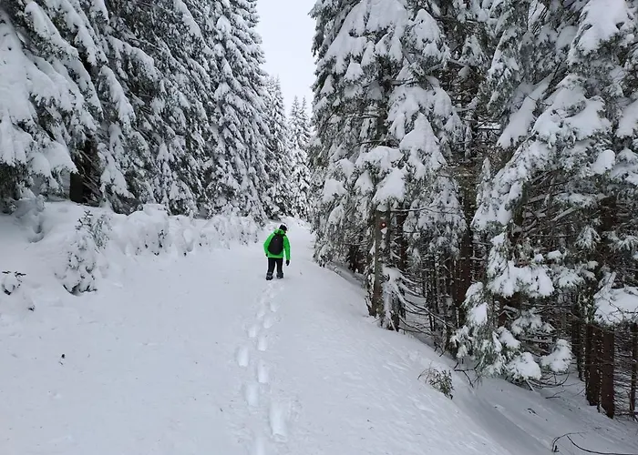 Family House * Mozirje