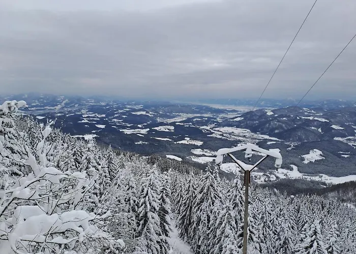 Дом отдыха Family House *