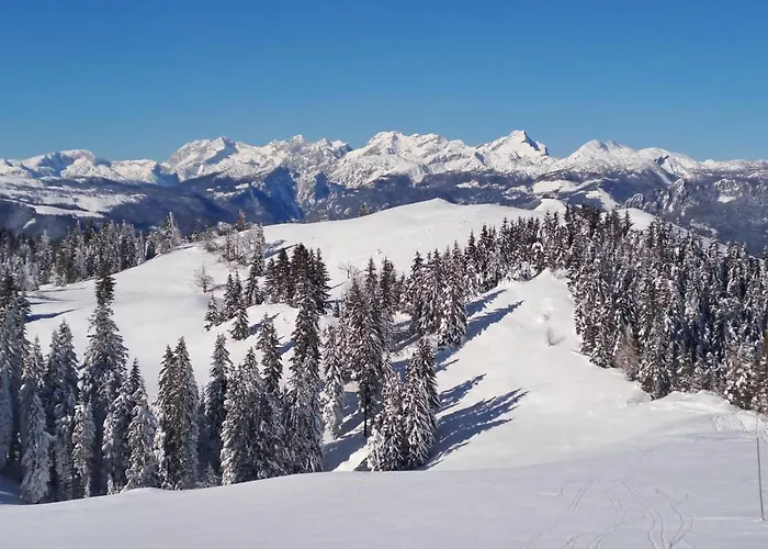 Дом отдыха Family House