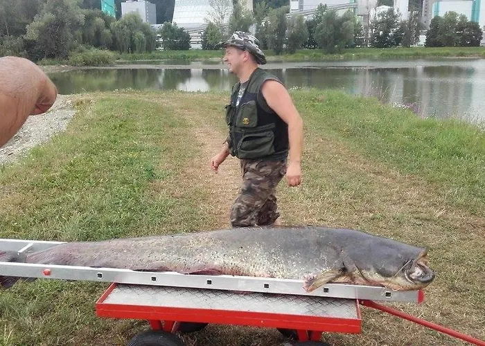 Family House Дом отдыха