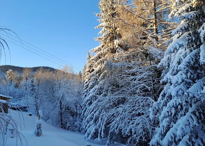 Family House Дом отдыха Мозирье