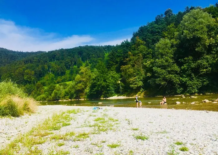 Family House Мозирье